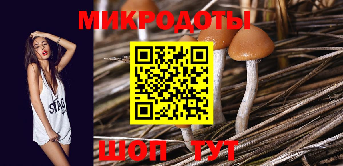 Псилоцибиновые грибы Psilocybe Рыбинск
